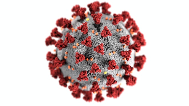 imagen ilustrativa de un virus