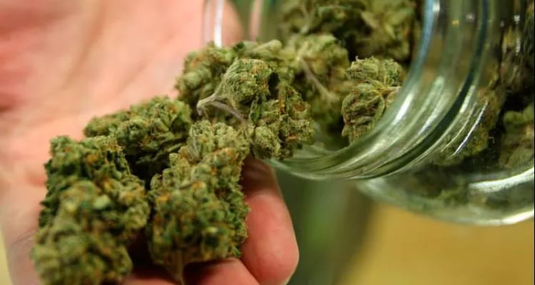 Si el uso lúdico de la mariguana no funciona, se harán cambios