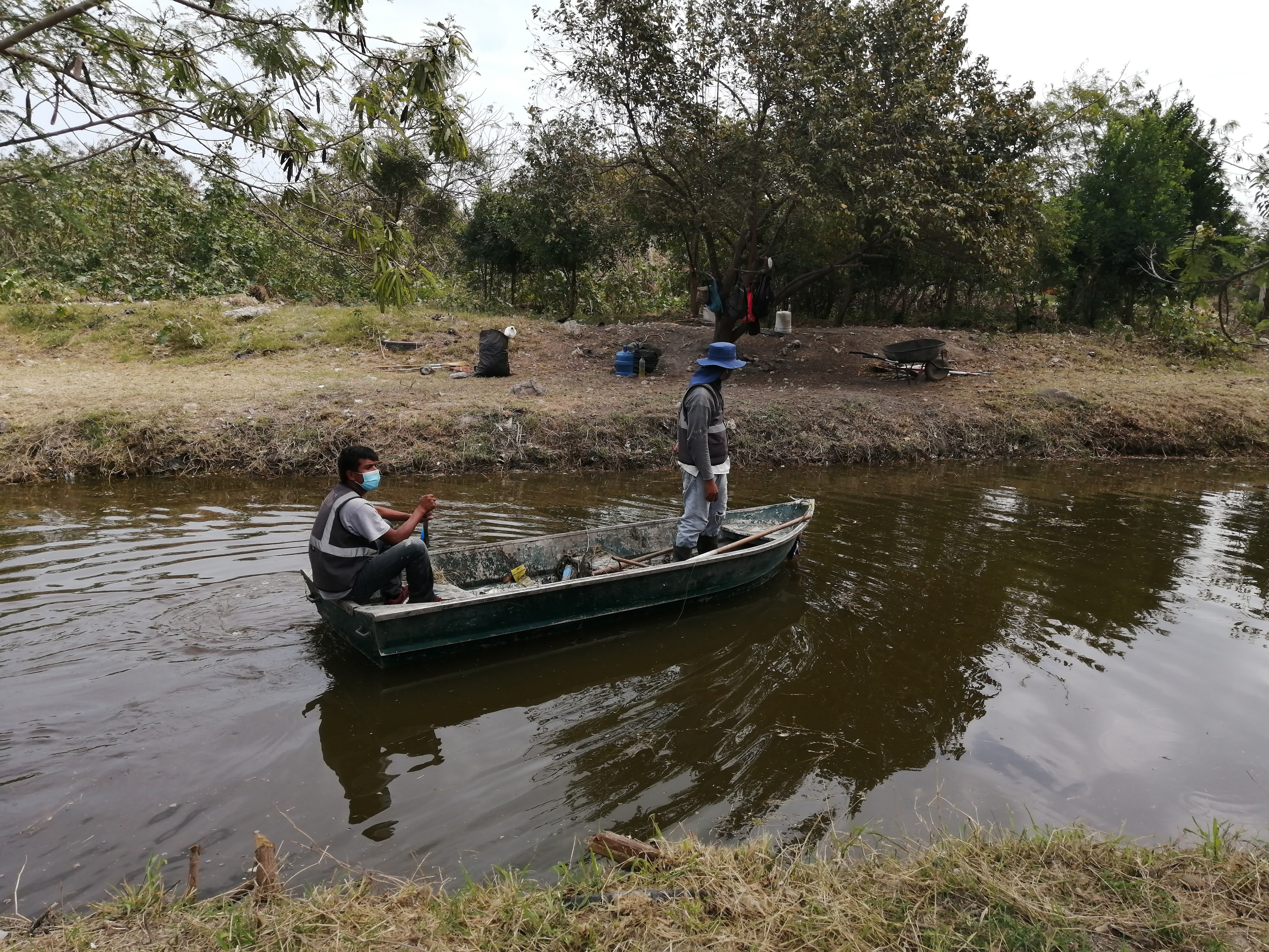 Trabajadores peligran de ser atacados por cocodrilos