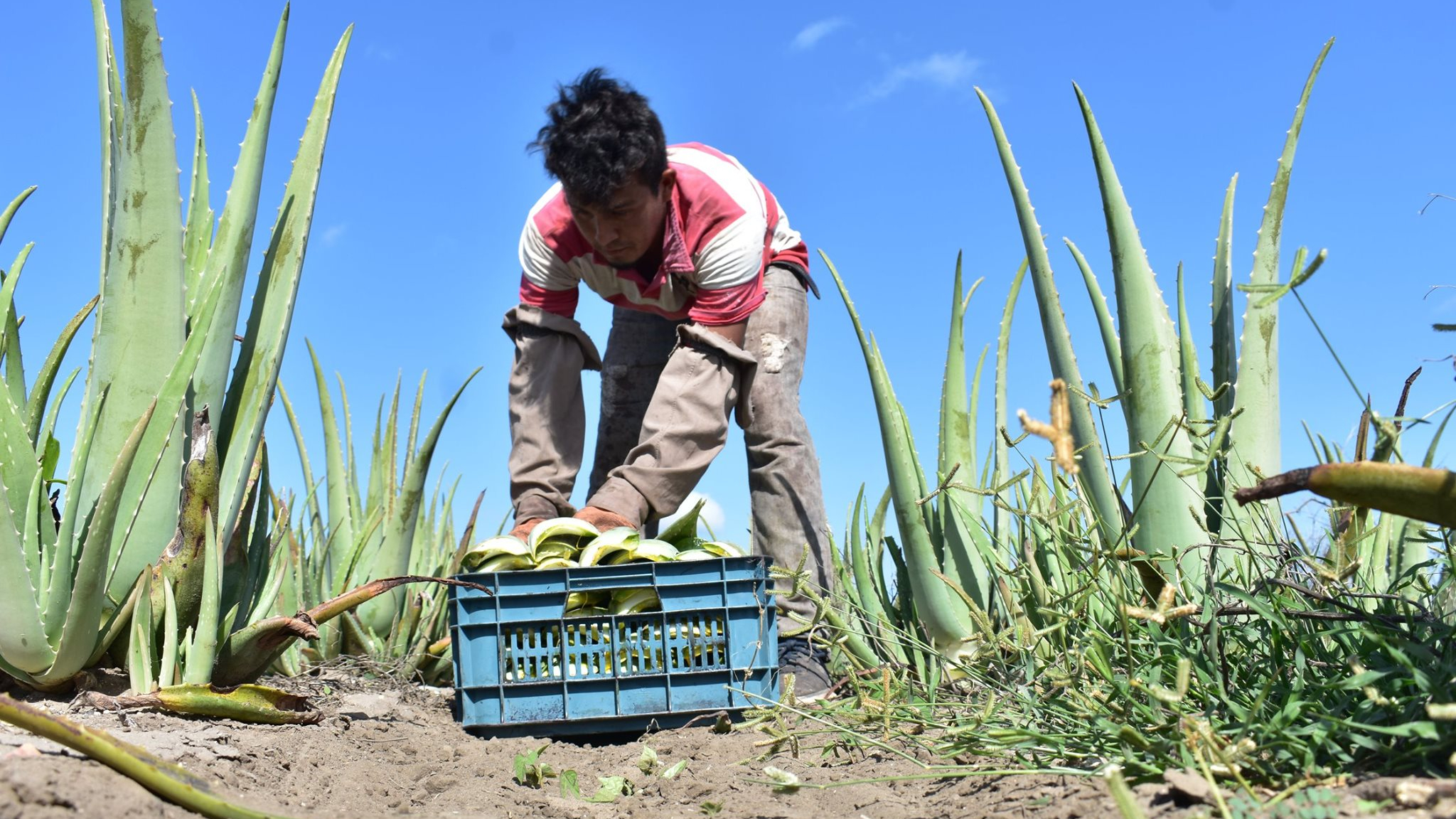 Se marca una brecha en los sueldos de los tamaulipecos
