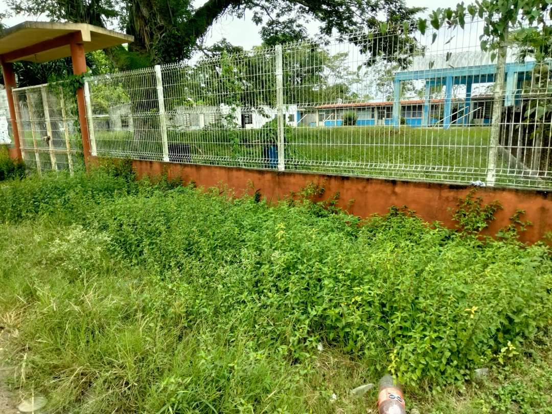 Tampico ha limpiado 40 de 70 planteles educativos