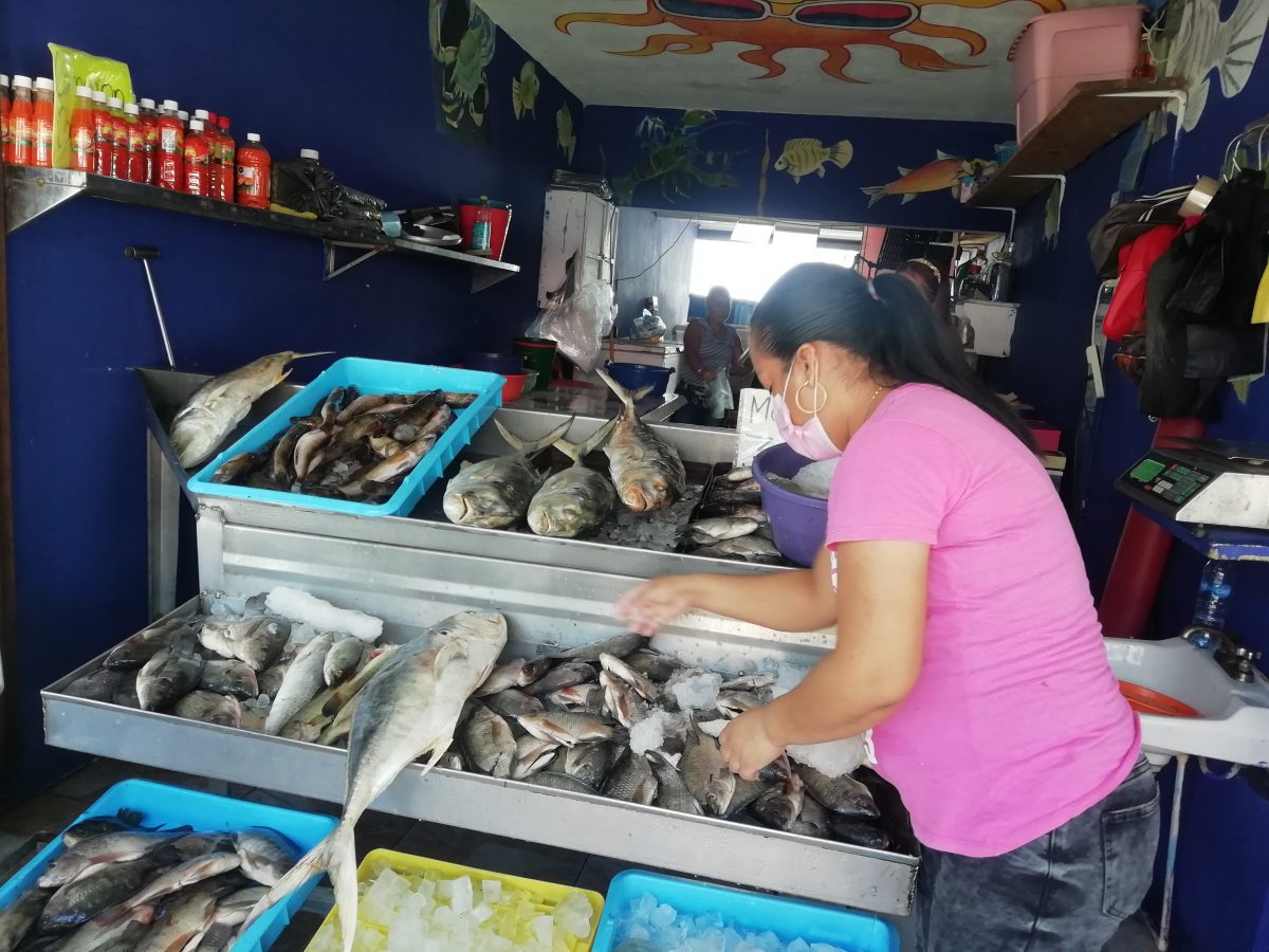 aumentan venta de pescados