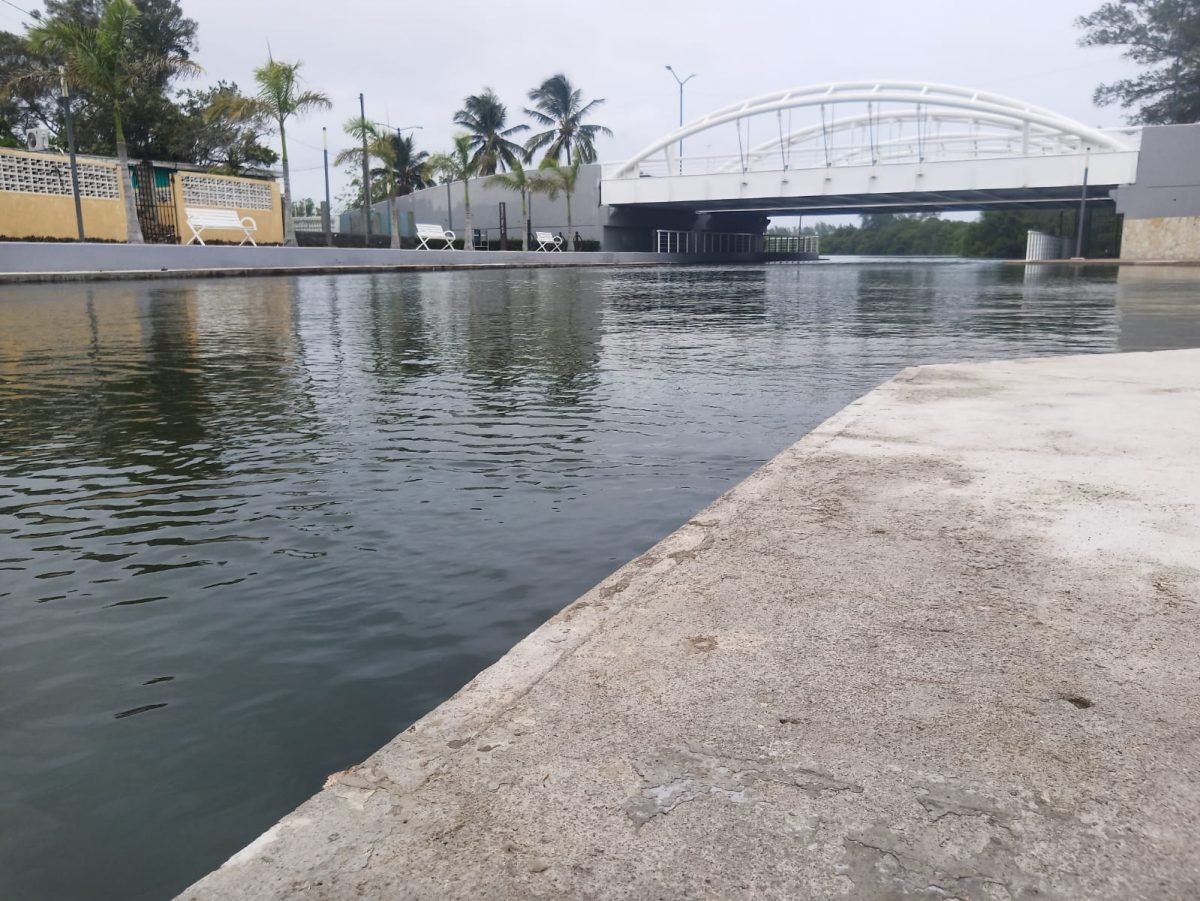 dejan las lluvias inundaciones parciales