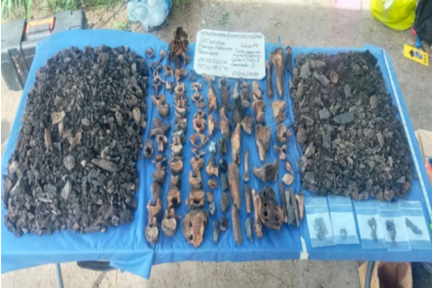 diligencia extraordinaria en La Bartolina