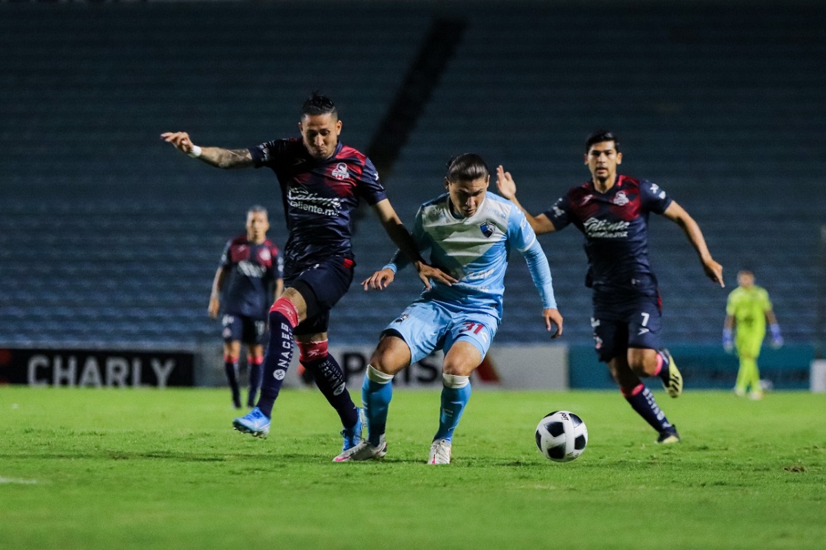 Jaiba Brava del Tampico-Madero