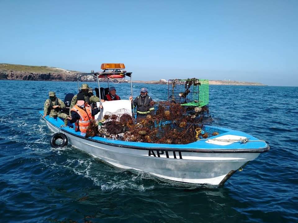 Producción de camarón en Tamaulipas