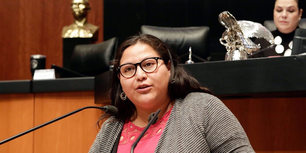 Lilly Téllez. y otras personalidades arremetieron en contra de las declaraciones de Citlalli Hernández tras la agresión a Lía Limón.