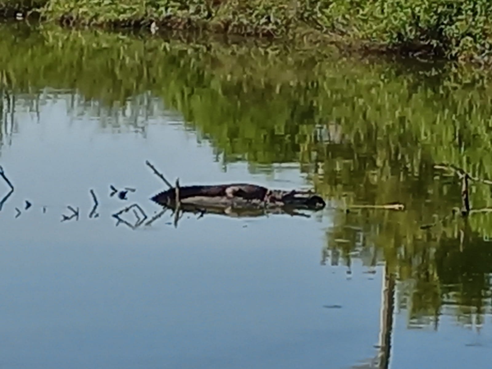 Ojo de agua en Altamira