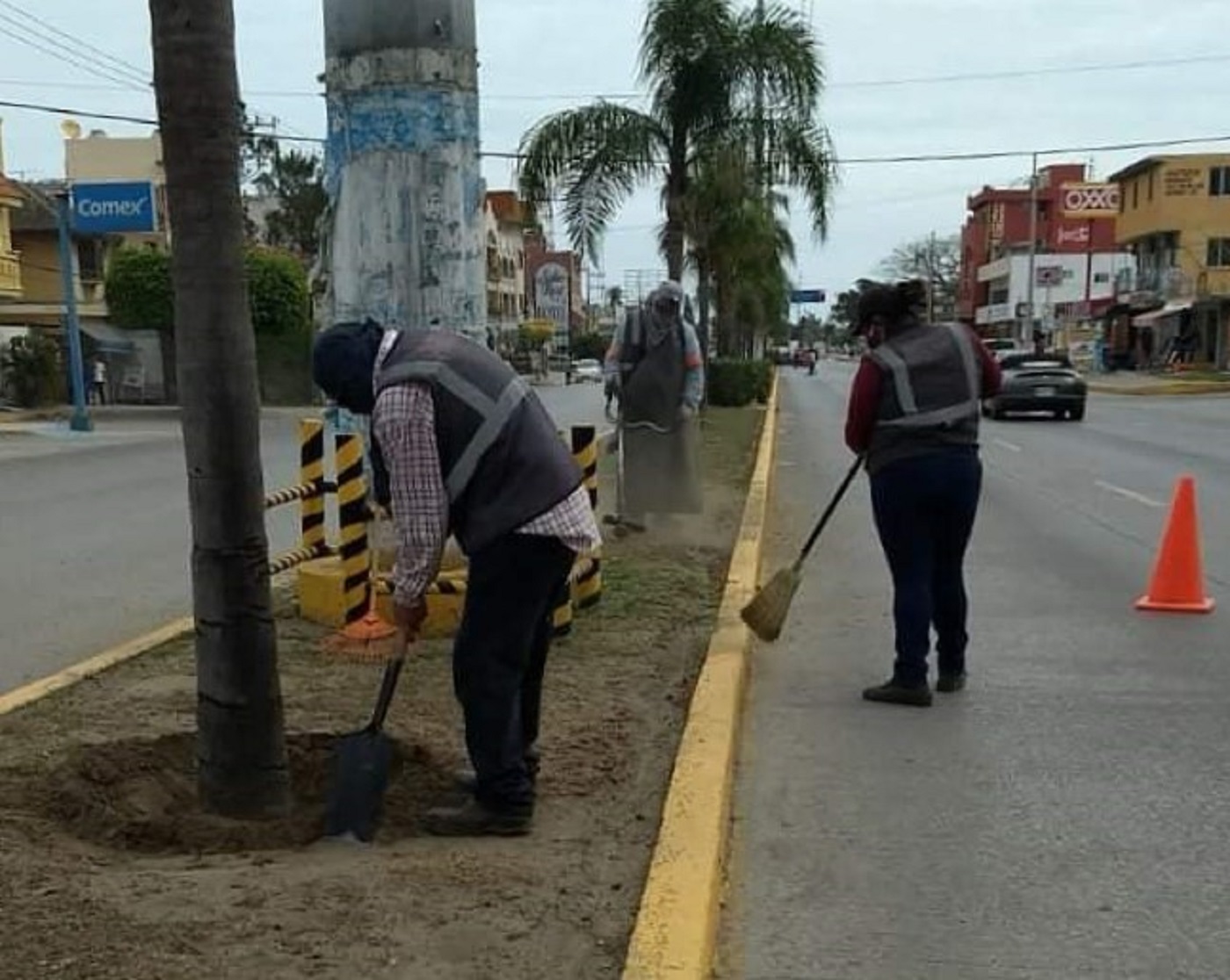 Camellones de Madero convertidos en basureros