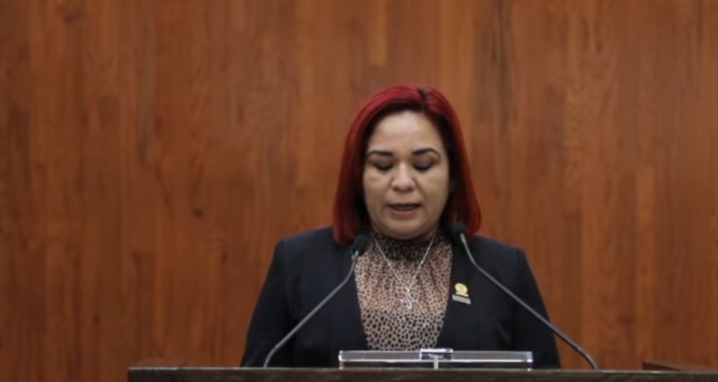 crear registro de deudores alimentarios