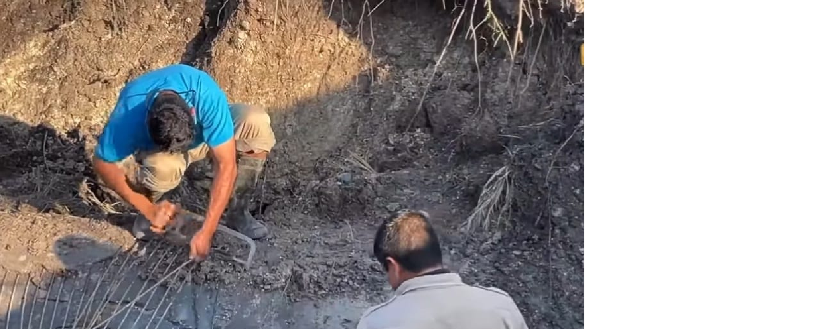 hogares en Victoria se quedaron sin agua