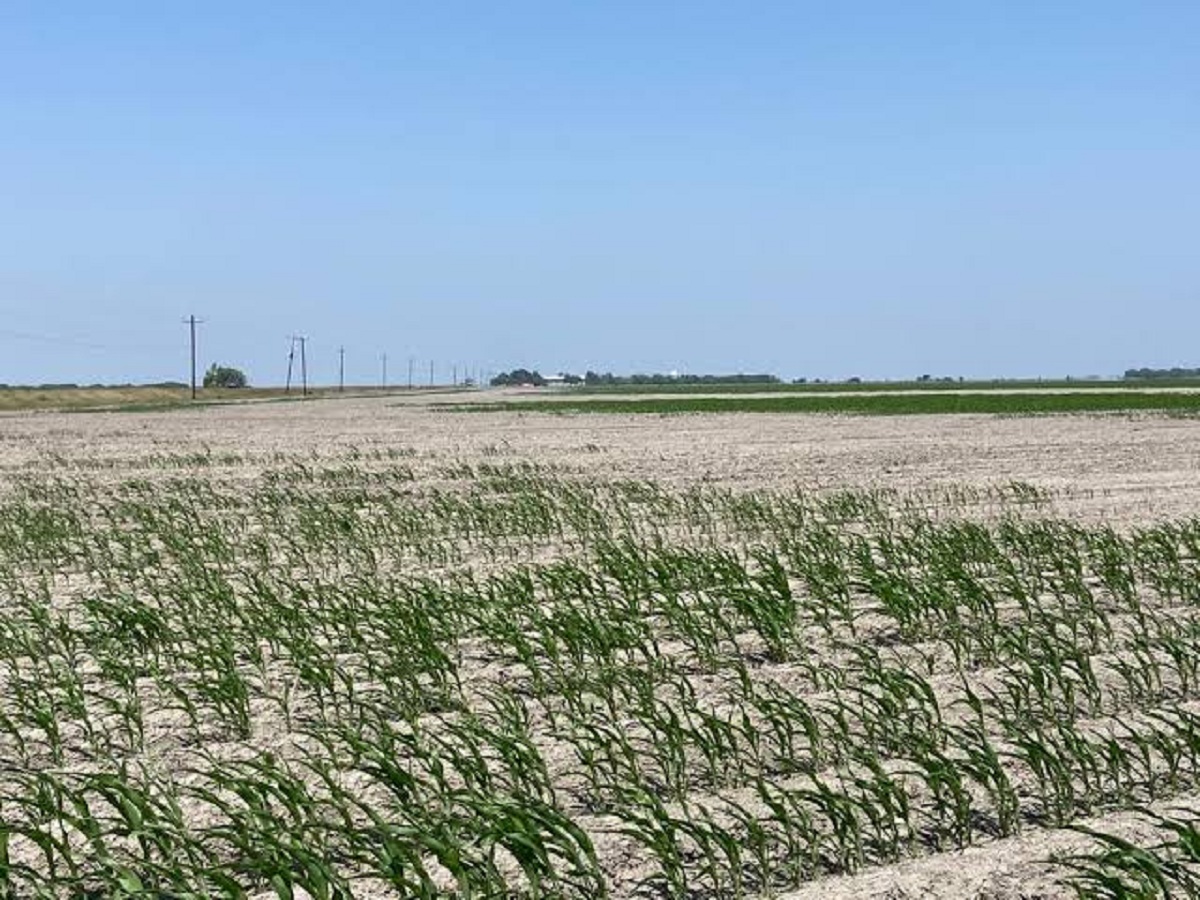 pierden 5 mil hectáreas en Altamira