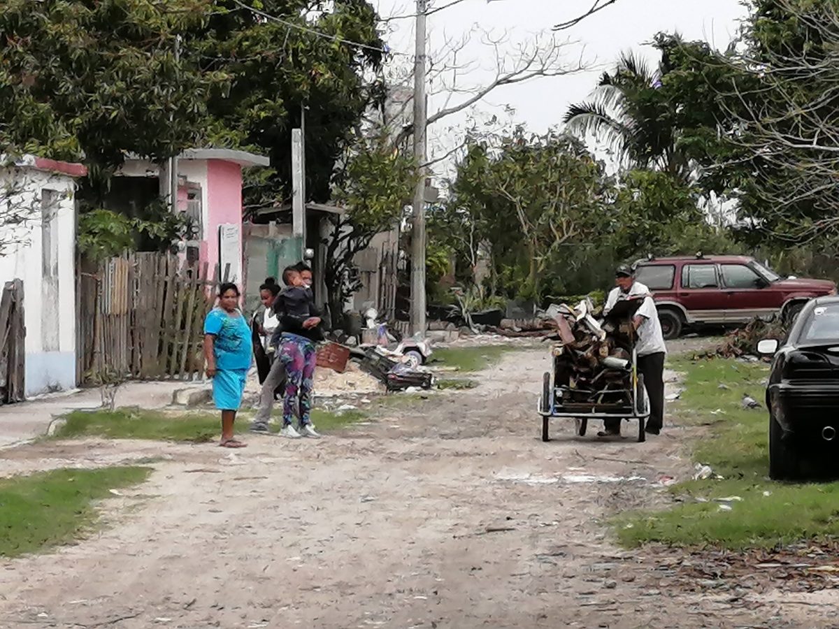 falta de transporte afecta a dos mil familias