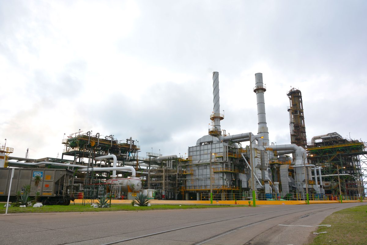 reportará ante instancias federales contingencia