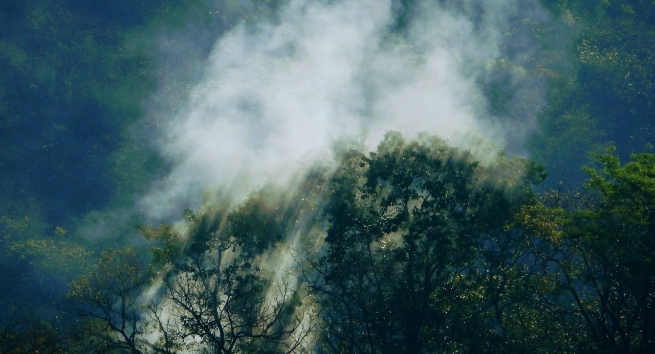 consume 40 hectáreas en Reserva El Cielo