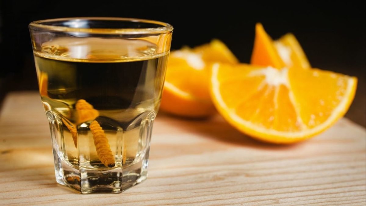 mezcales que son y los que no