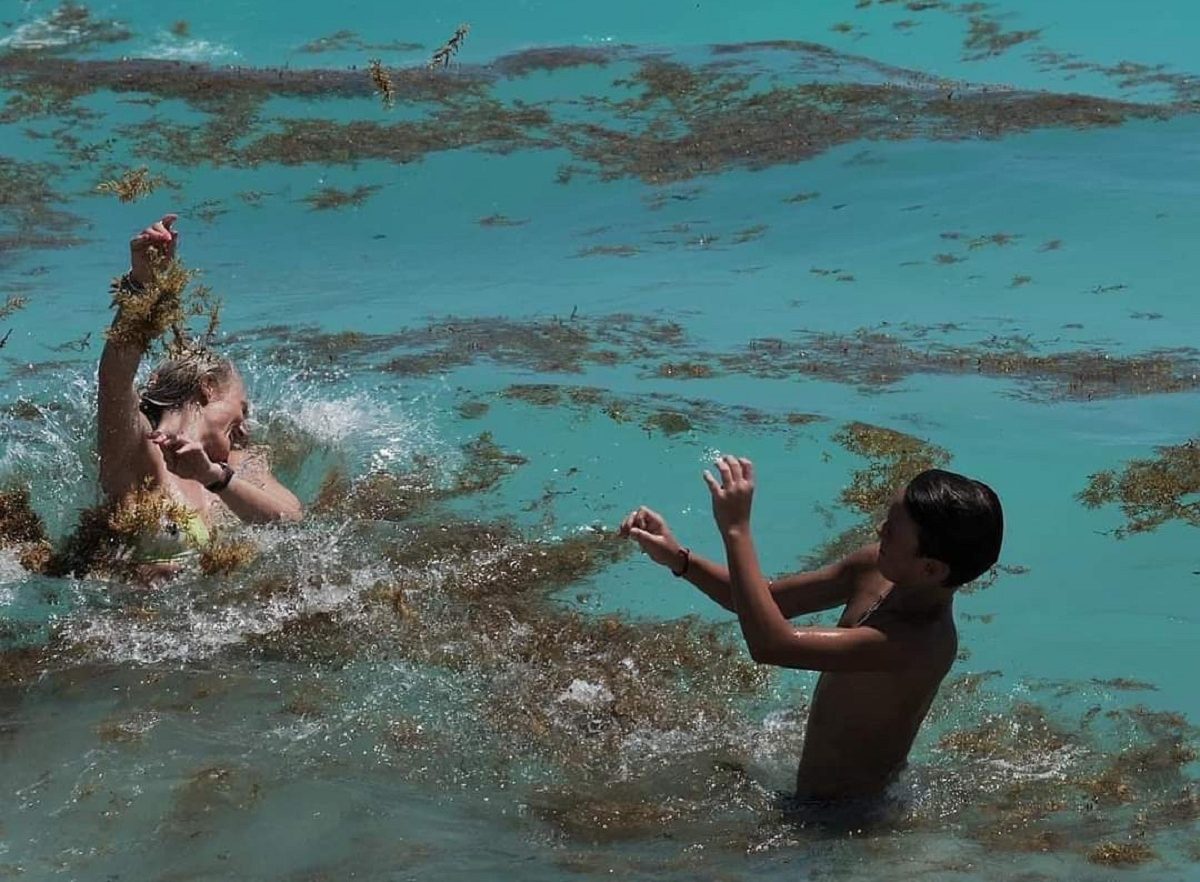Sargazo pesadilla de hoteleros en la Riviera