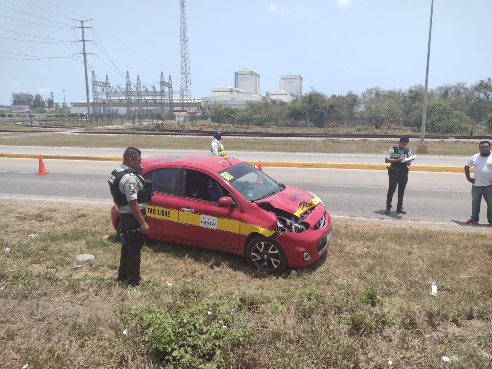 Otro venado atropellado y muerto