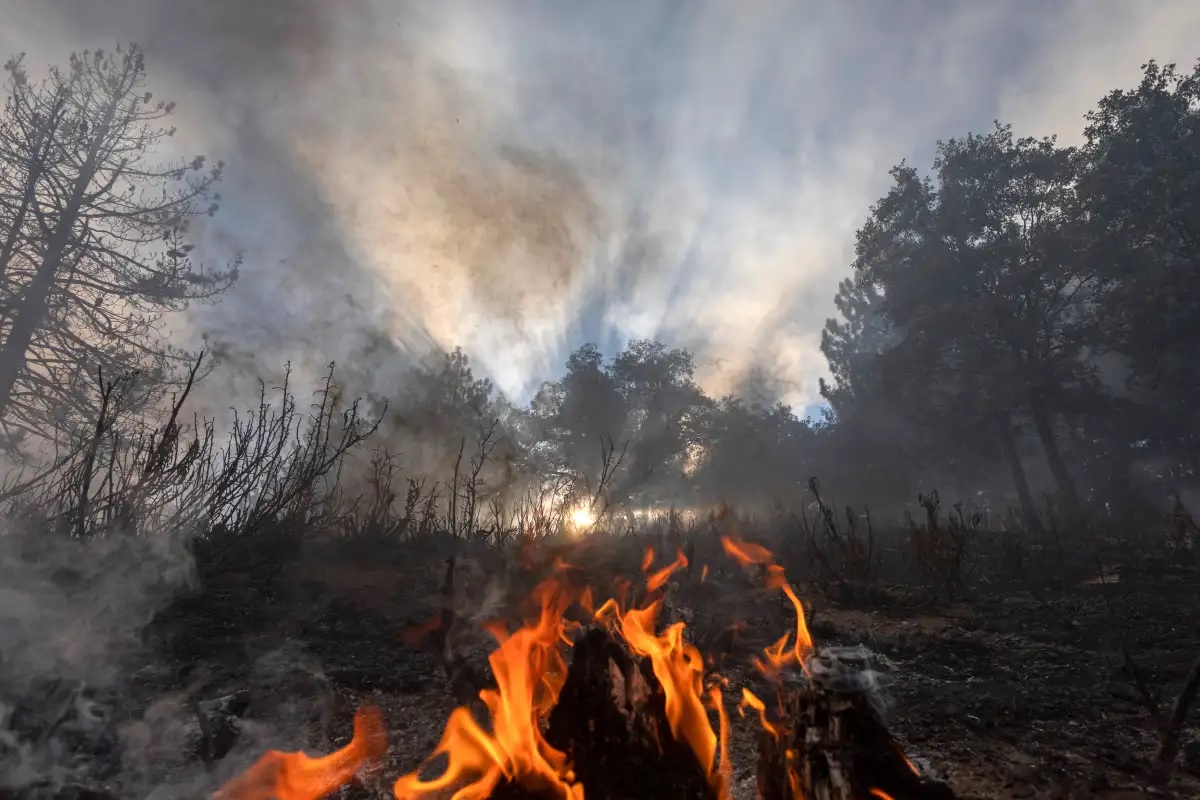 tres incendios forestales en Tamaulipas