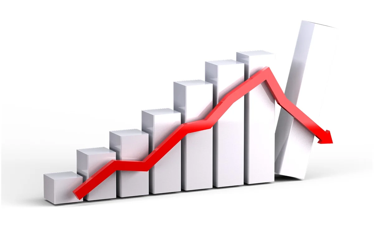 economía estatal con mayor caída