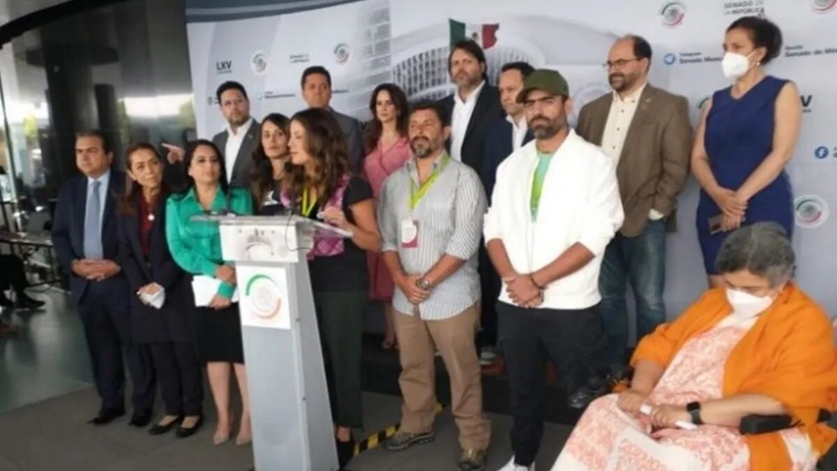 Aunado al constante bombardeo contra el proyecto, este martes activistas critican y cuestionan el tramo 5 del Tren Maya en el Senado