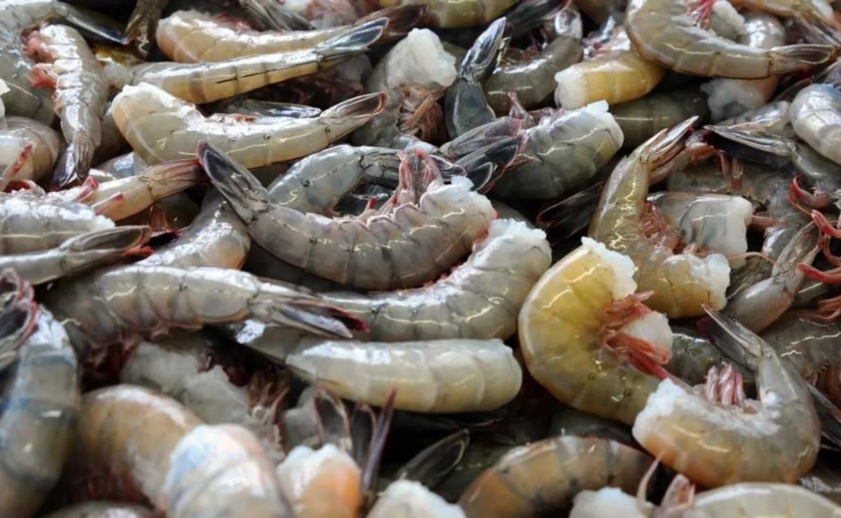 TLC entre México y Ecuador