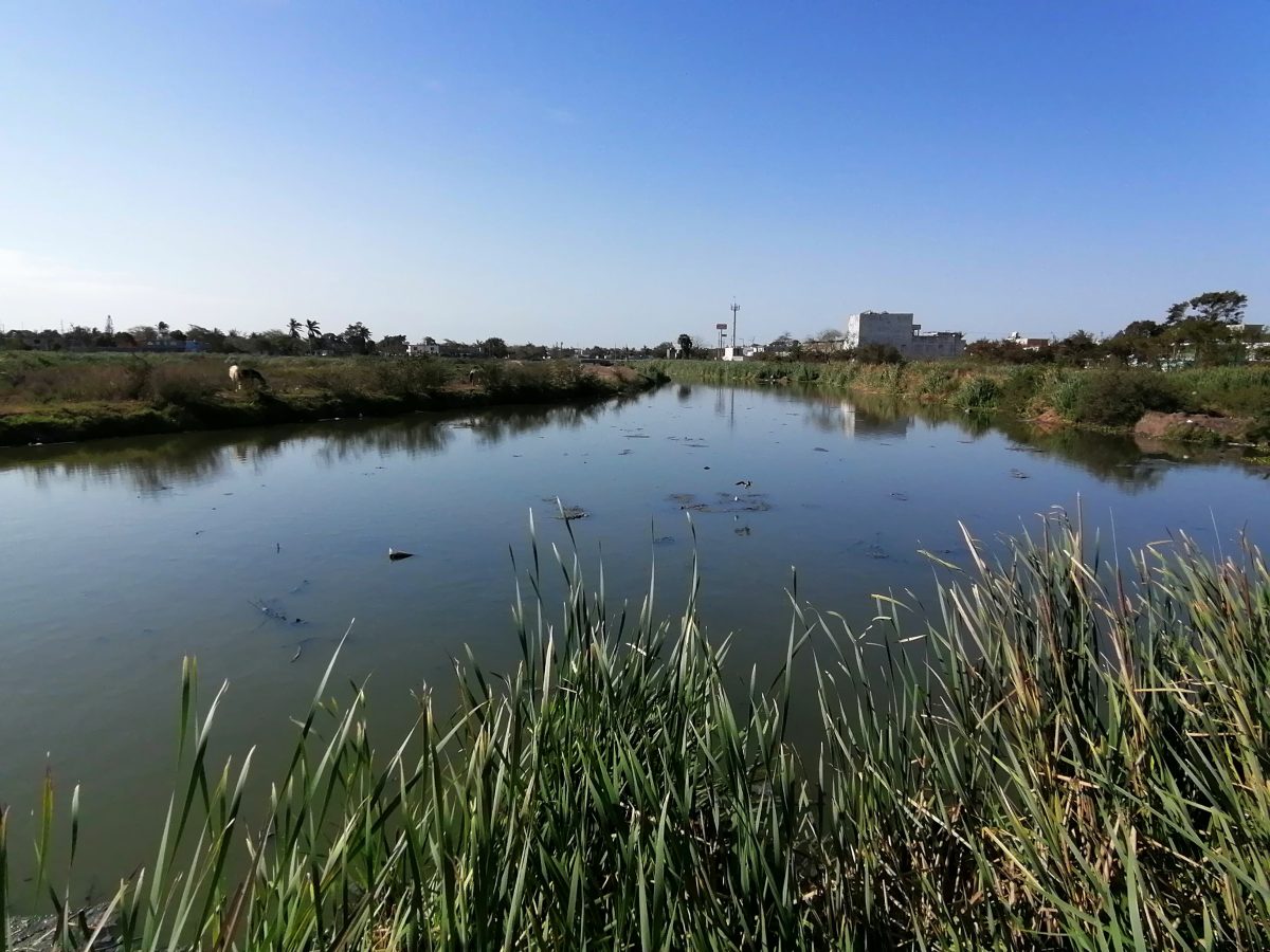 Vecinos de colonia Adriana González