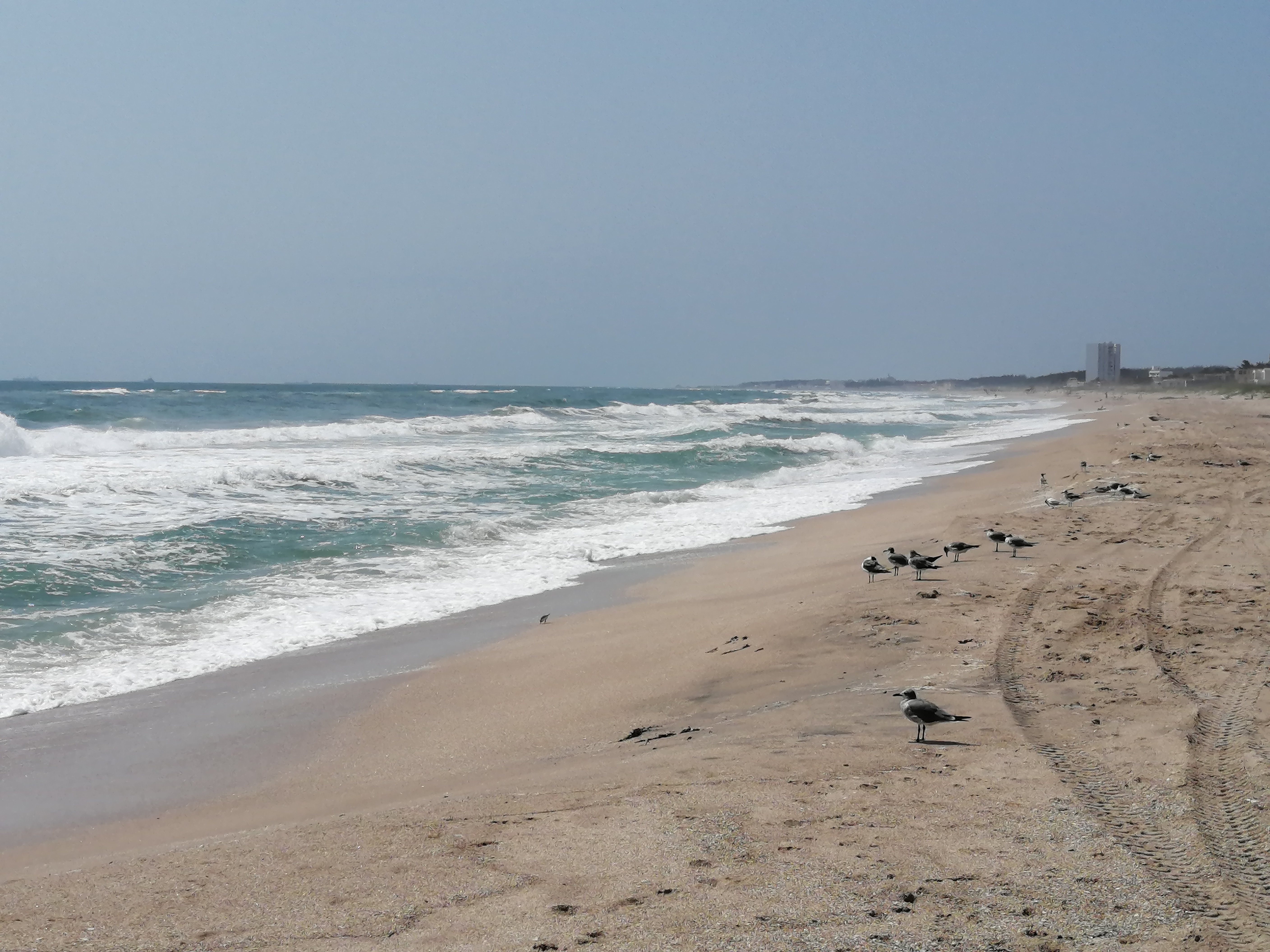 cuerpo de mujer generó movilización