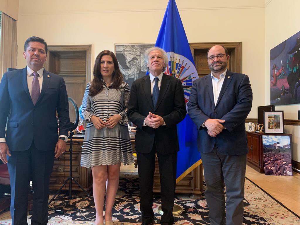 Senadores mexicanos de oposición acusan en OEA a crimen organizado por intervenir a favor de Morena en Tamaulipas.