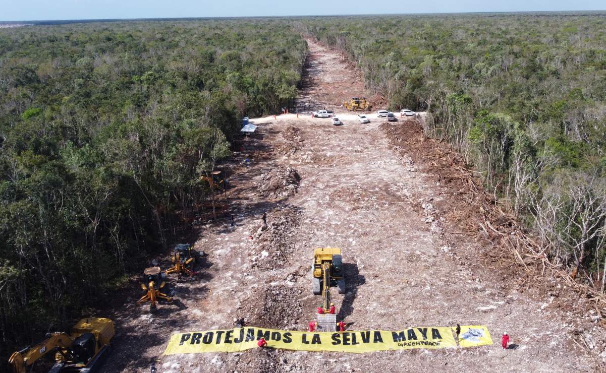 La SEDENA reconoció que el tramo 5 del Tren Maya no tiene estudio de impacto ambiental; apenas se encuentra en proceso.