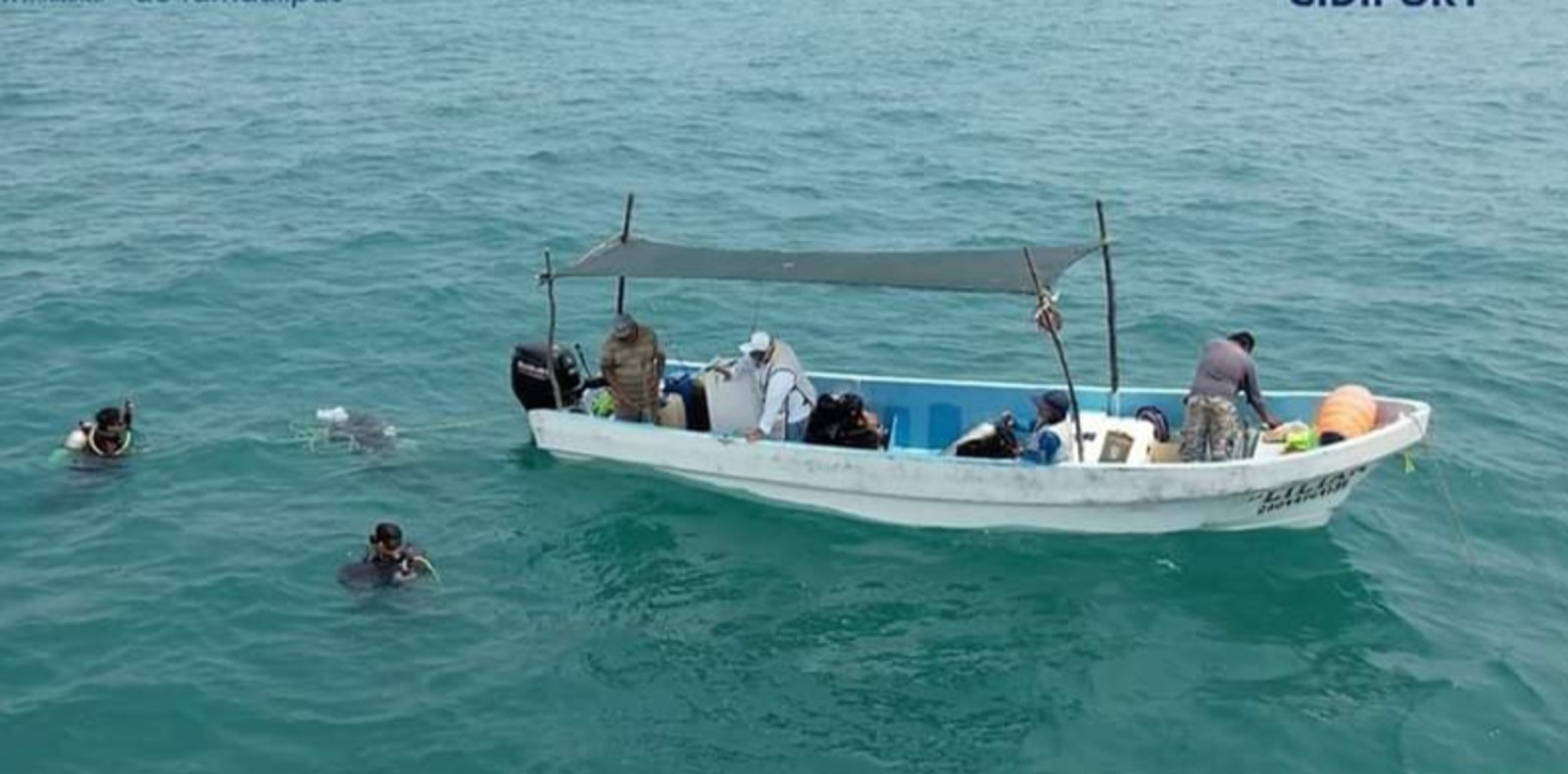 Descubrieron un arrecife en costas del sur