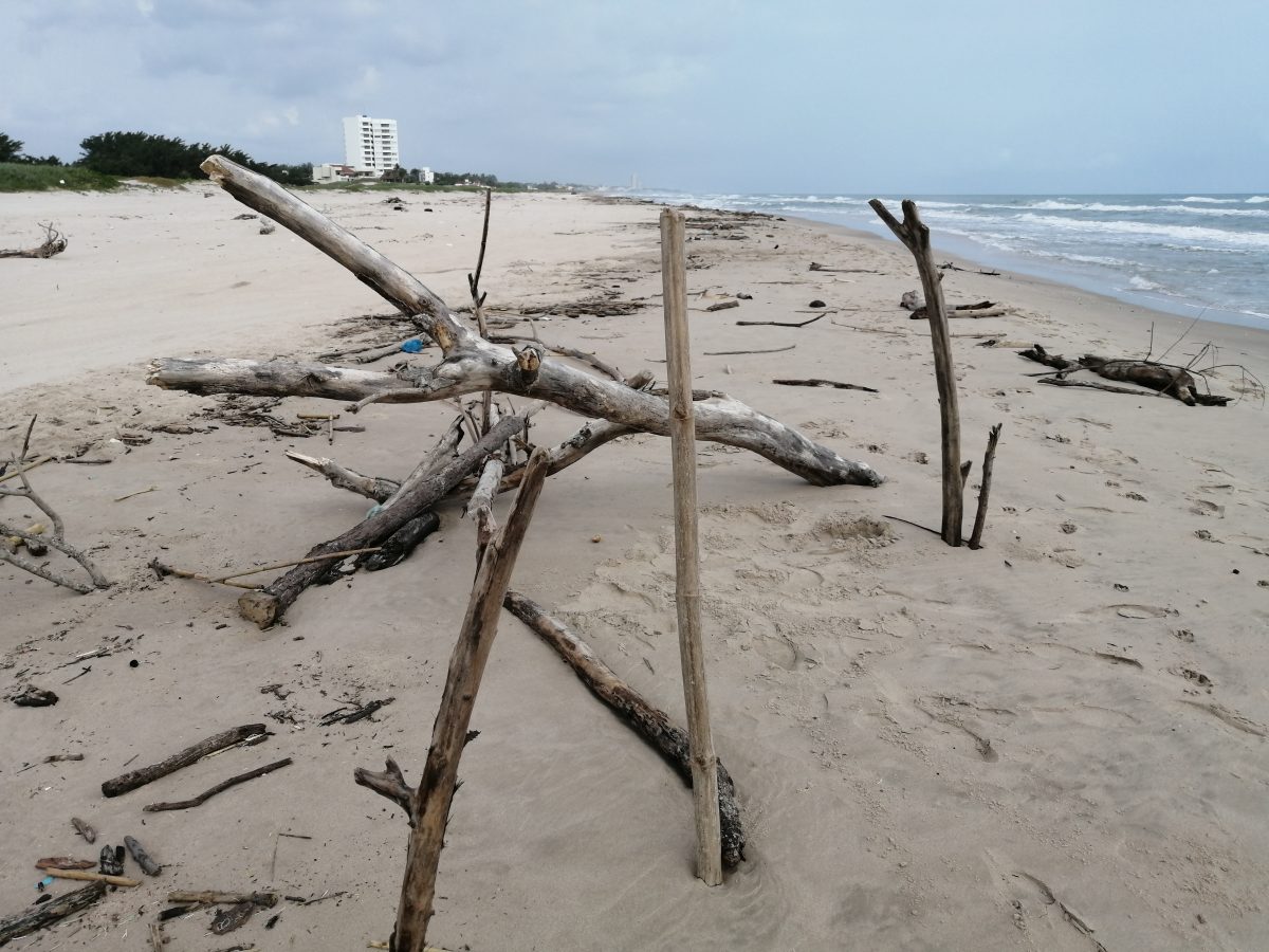 Las lluvias que se han presentado