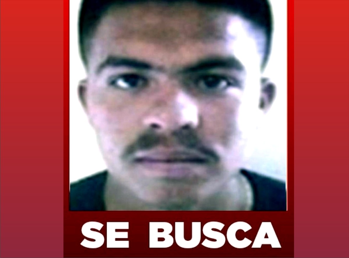 robó los cuerpos de los dos sacerdotes