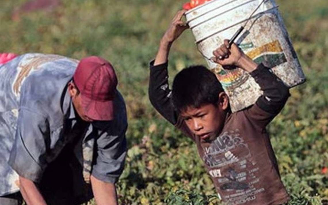 En el marco del Día Mundial contra el Trabajo Infantil, el INEGI informó que aproximadamente 7.5% de los niños en México han trabajado.