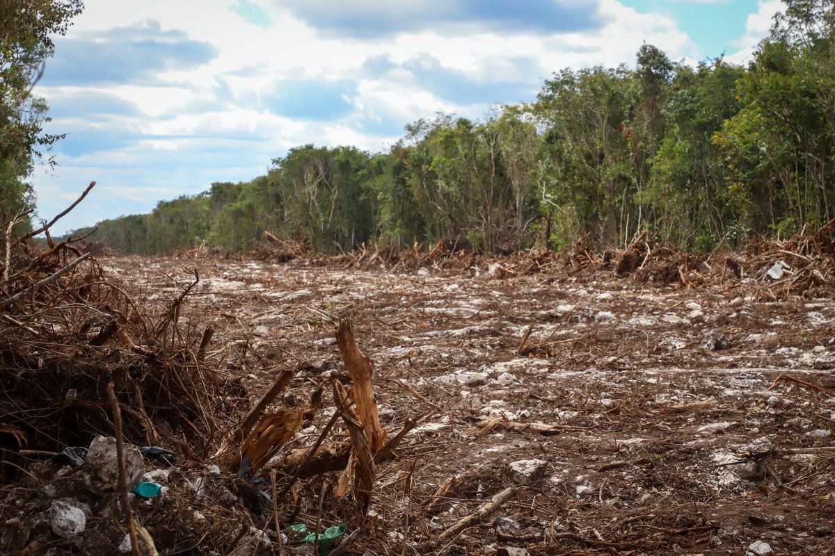 PAN sobre el Tren Maya