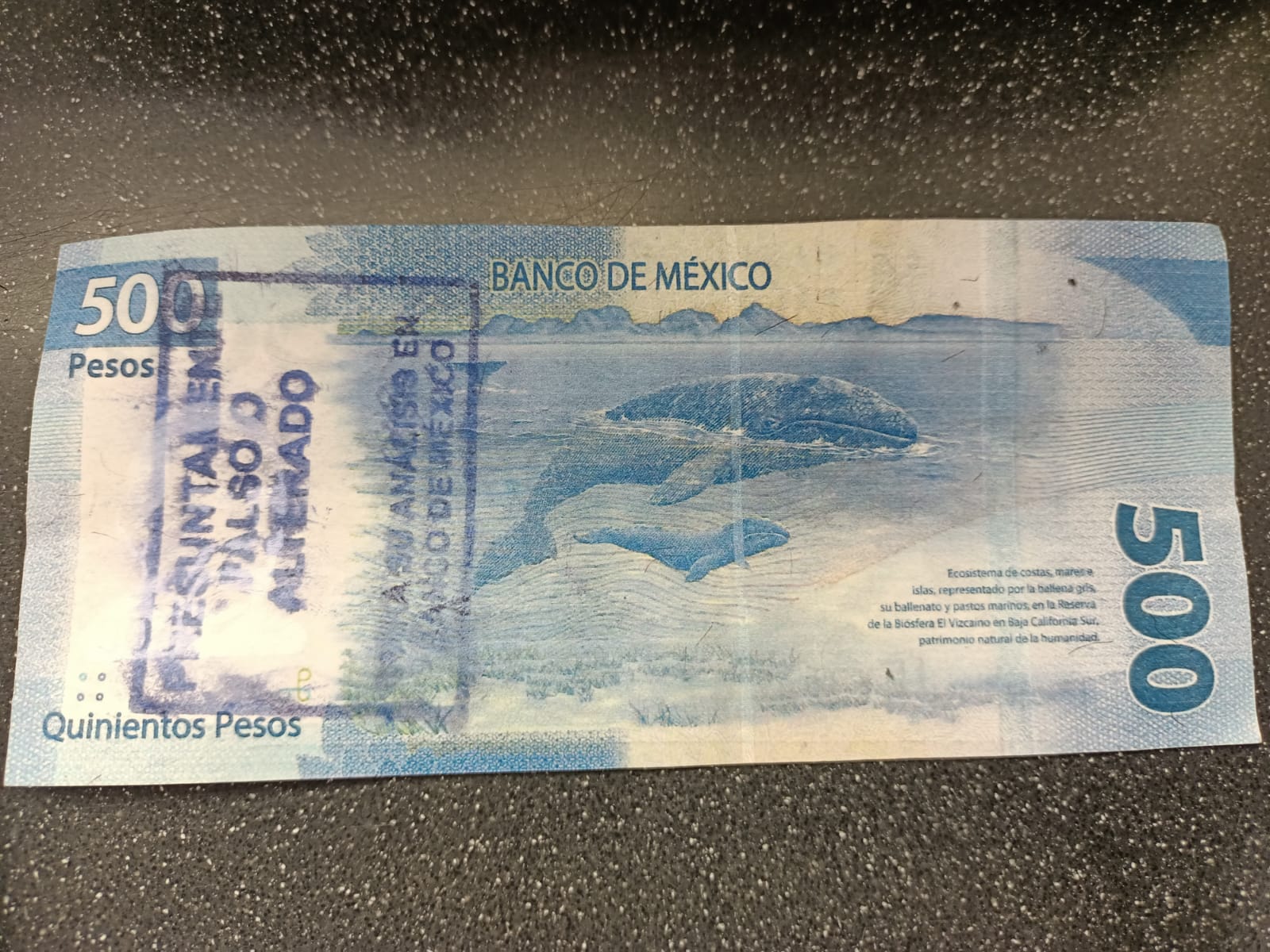 Reportan la presencia de billetes falsos