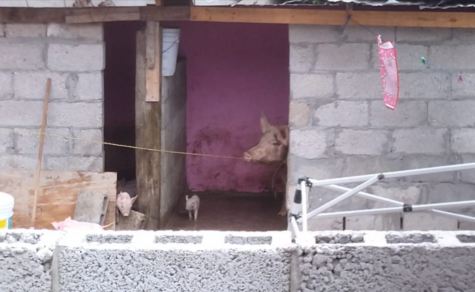 Vecinos en Madero denunciaron