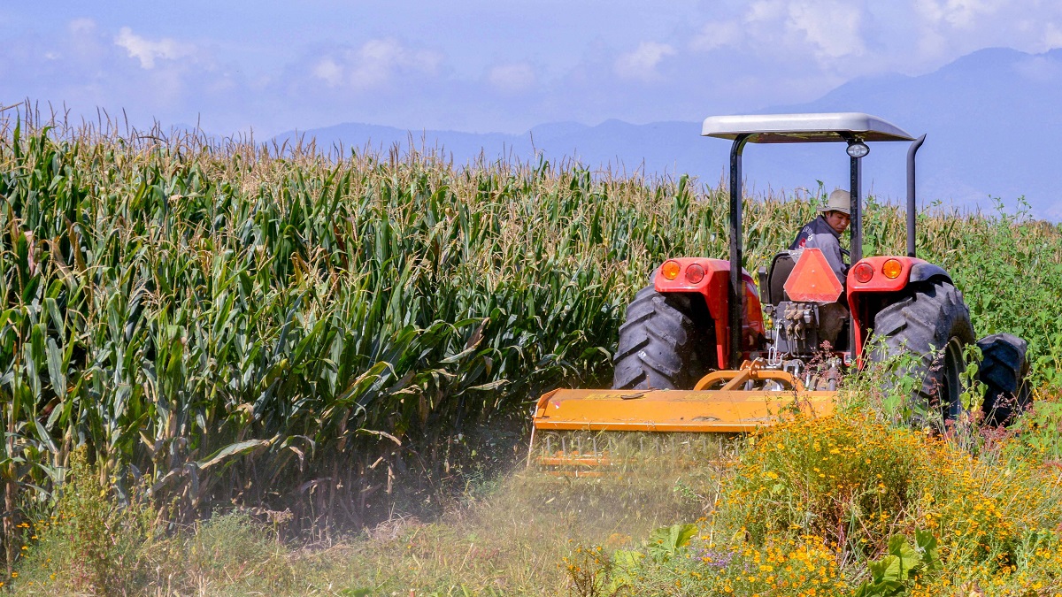 apoyo de Agricultura por sequía