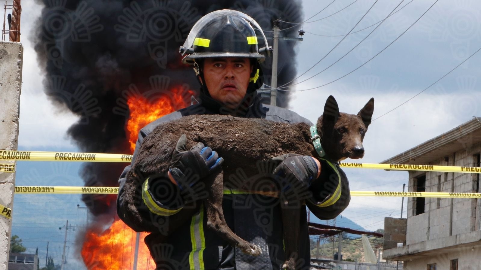 Explosión Amozoc Puebla