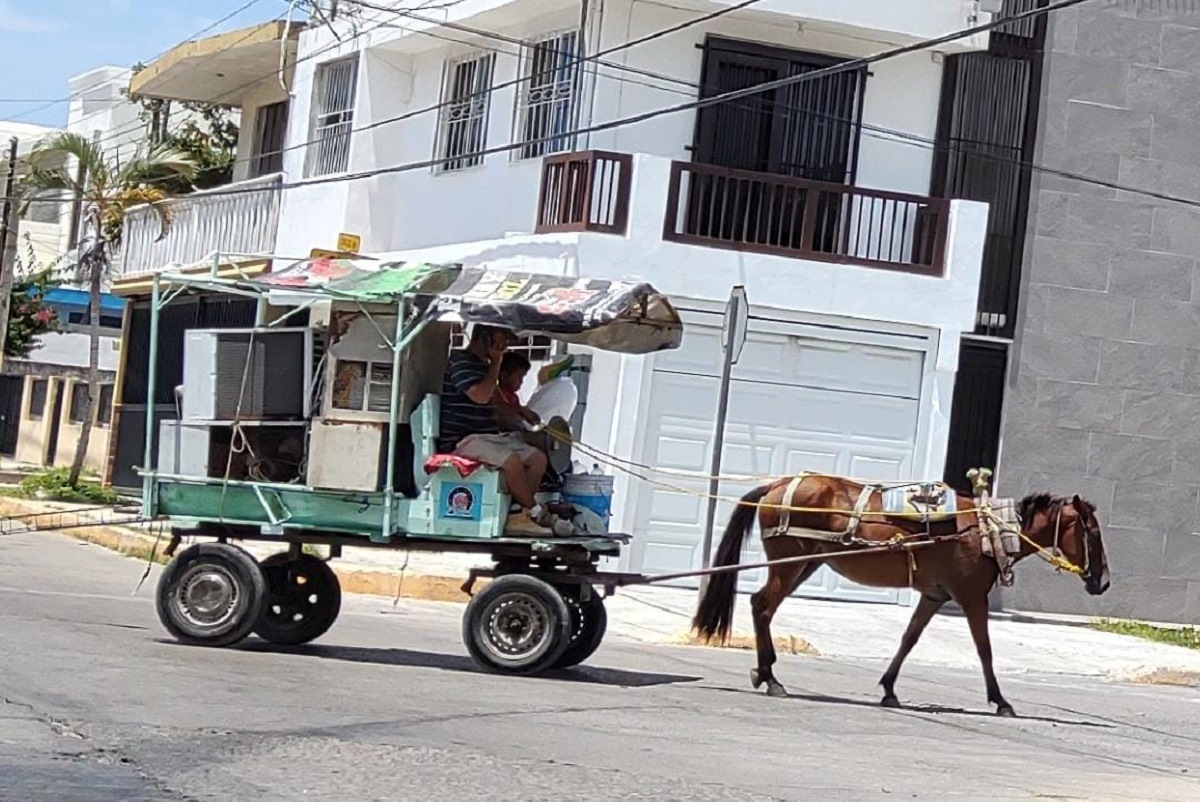 En Madero continúa el uso de caballos