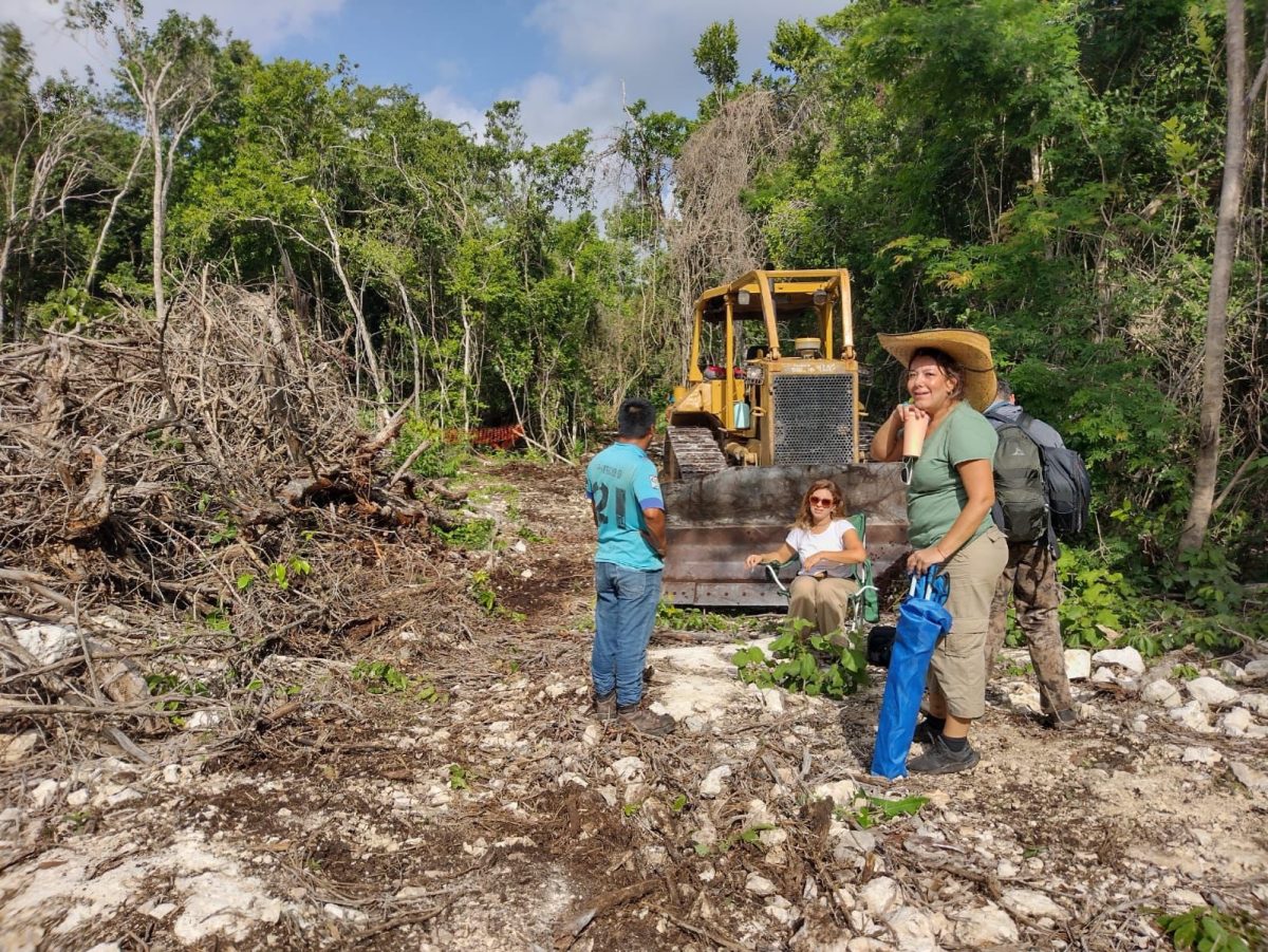 Activistas se organizan desde temprano y, desde las 7 de la mañana, protestan por la construcción del Tren Maya en la zona de Akumal en QROO.