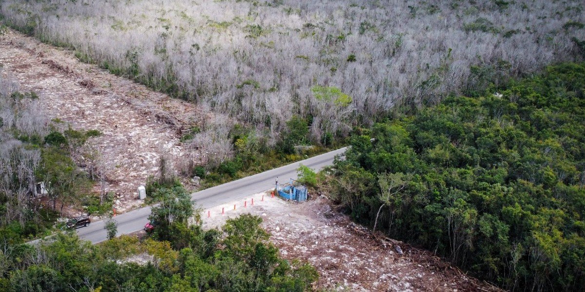 Ordenan frenar definitivamente las obras en el Tramo 5 del Tren Maya por incumplir con las condicionantes impuestas para su construcción.