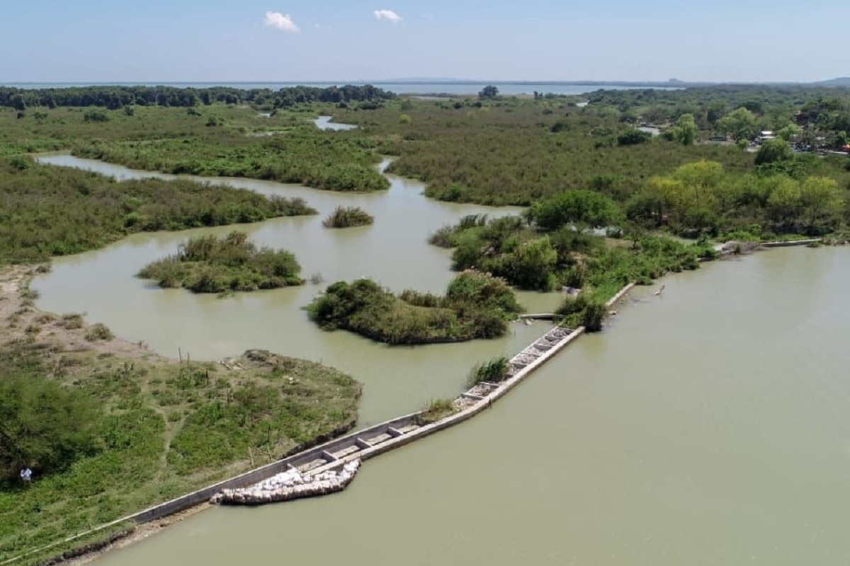 empresarios en Tamaulipas