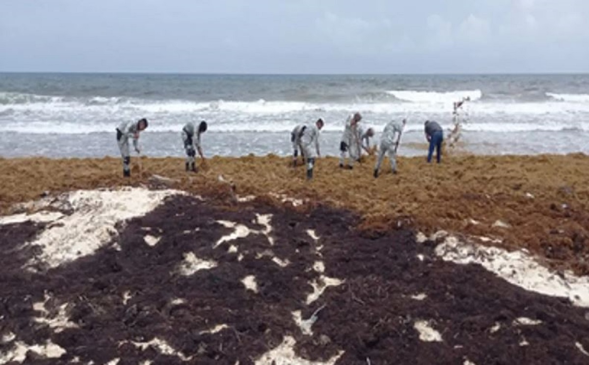 GN localizó paquetes de droga
