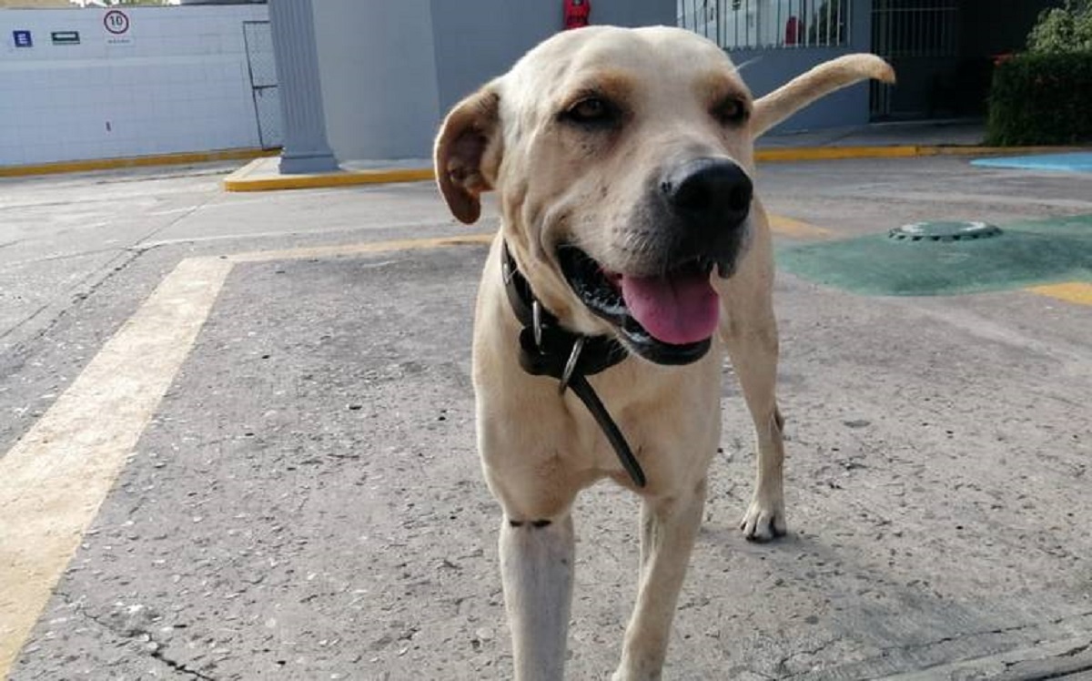 Trabajadores de gasolinera