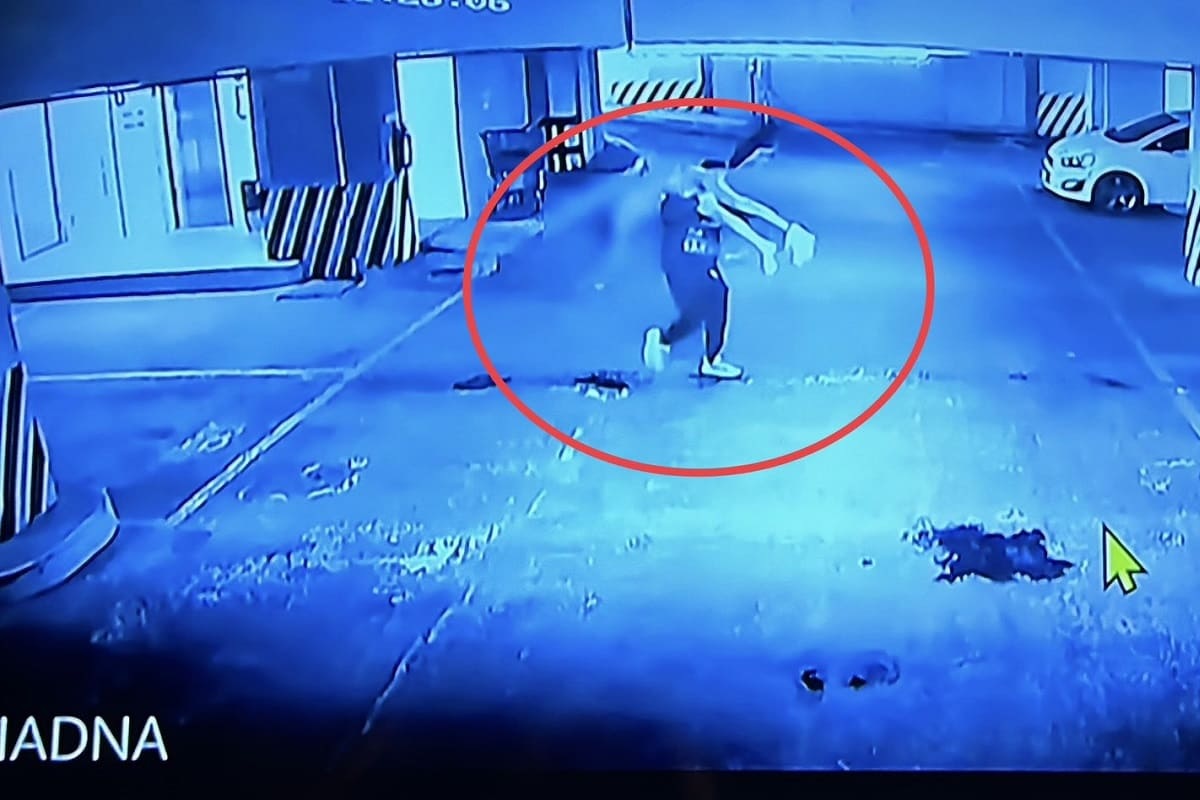 fotografías de Ariadna