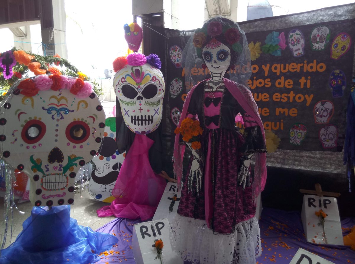 marginal incremento en ventas