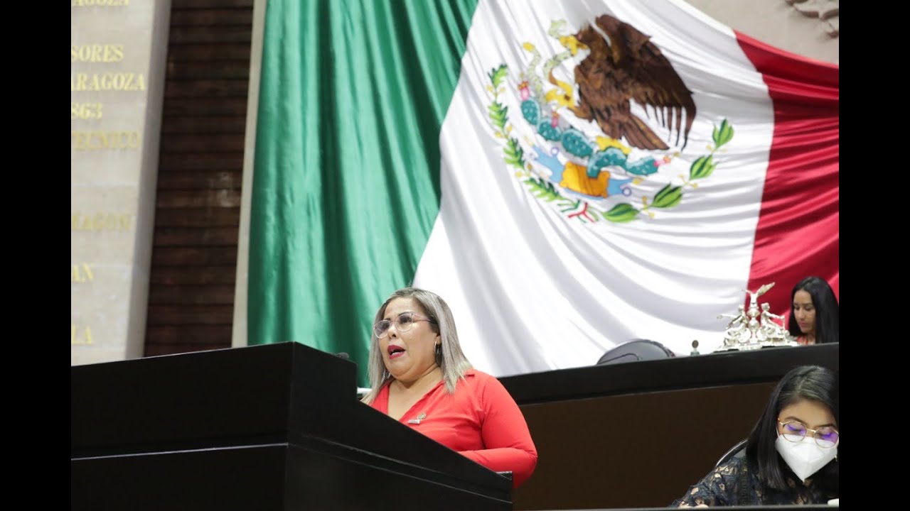 Atacaron a hijos de diputada