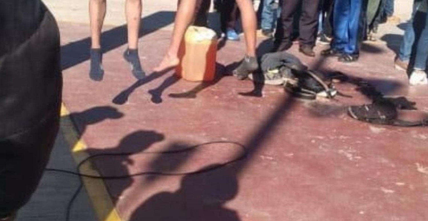 Cuelgan y golpean a ladrones de vehículos