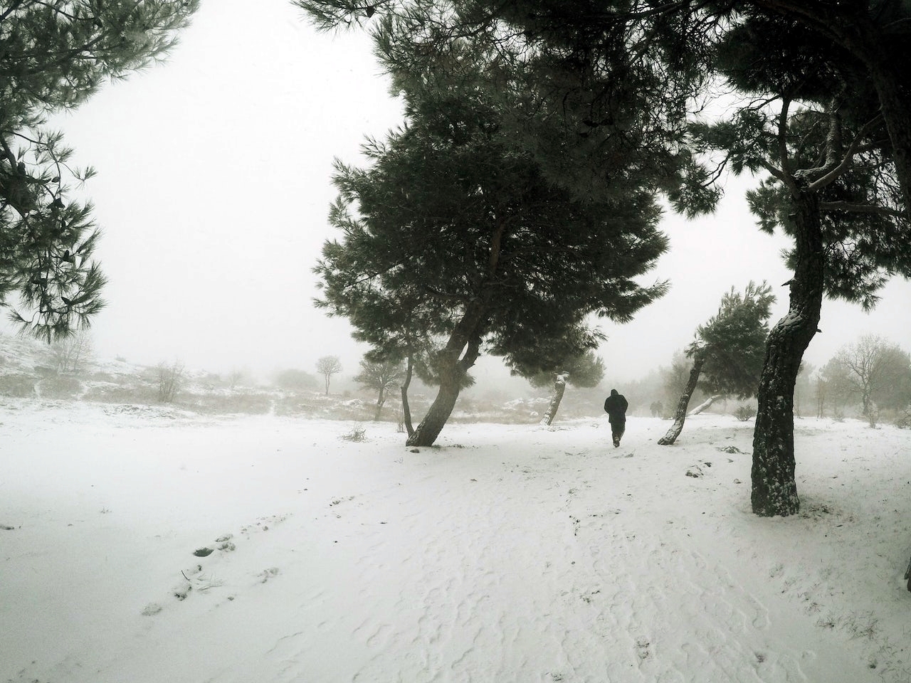 Navidad helada en el norte del país